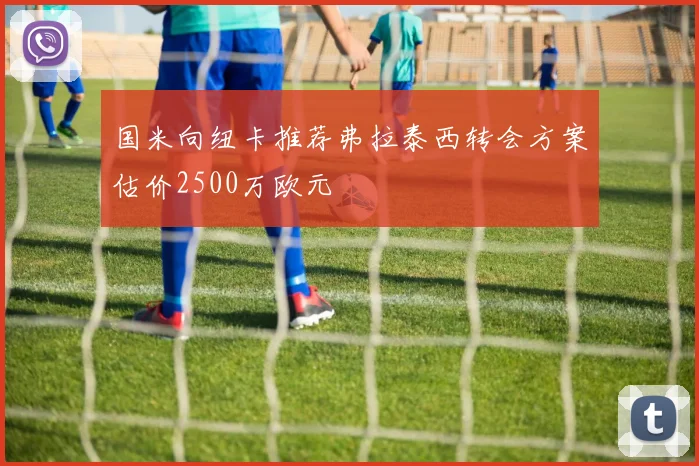 国米向纽卡推荐弗拉泰西转会方案估价2500万欧元